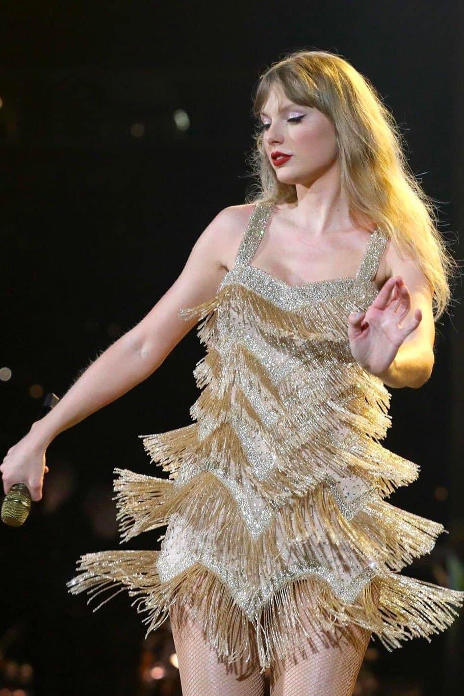 Taylor Swift Eras tour Blank Meme Template