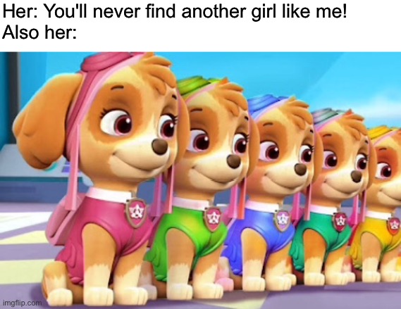 She's not like other Cockapoos! | Her: You'll never find another girl like me!
Also her: | image tagged in funny,memes,paw patrol,girls | made w/ Imgflip meme maker