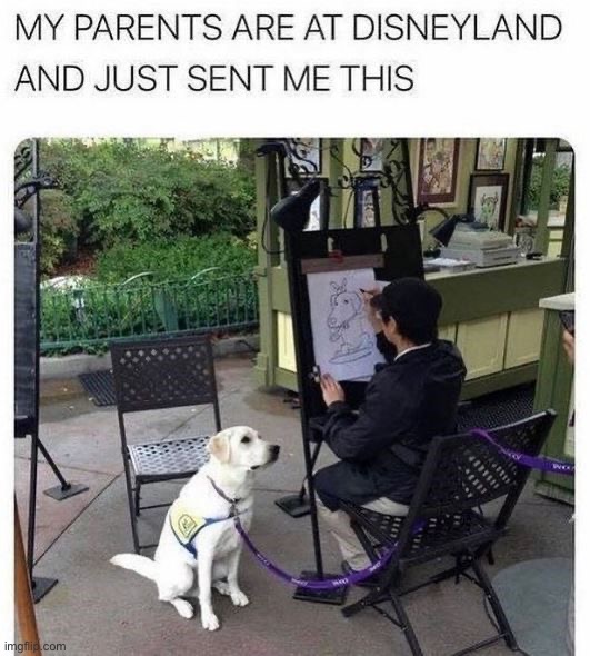 image tagged in memes,funny | made w/ Imgflip meme maker