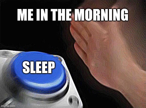 Sleep | ME IN THE MORNING; SLEEP | image tagged in memes | made w/ Imgflip meme maker