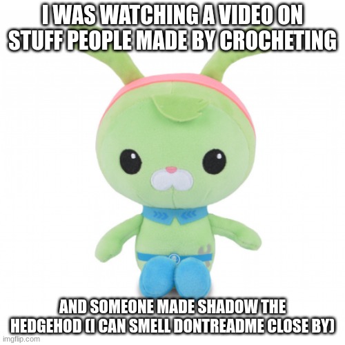 da gorl | I WAS WATCHING A VIDEO ON STUFF PEOPLE MADE BY CROCHETING; AND SOMEONE MADE SHADOW THE HEDGEHOD (I CAN SMELL DONTREADME CLOSE BY) | image tagged in da gorl | made w/ Imgflip meme maker