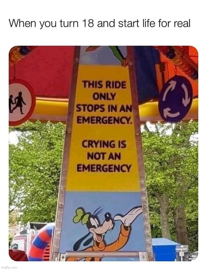 Damn who tf made this sign on a kiddie ride | image tagged in memes,funny,you had one job | made w/ Imgflip meme maker