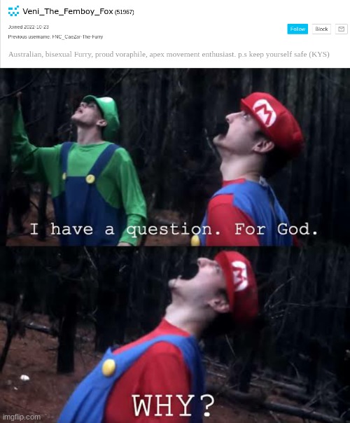 Why | image tagged in i have one question for god why,memes,shitpost,msmg,oh wow are you actually reading these tags | made w/ Imgflip meme maker