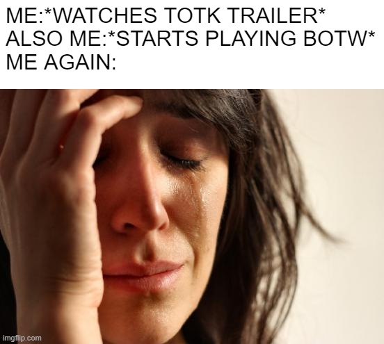 First World Problems | ME:*WATCHES TOTK TRAILER*
ALSO ME:*STARTS PLAYING BOTW*
ME AGAIN: | image tagged in memes,first world problems | made w/ Imgflip meme maker