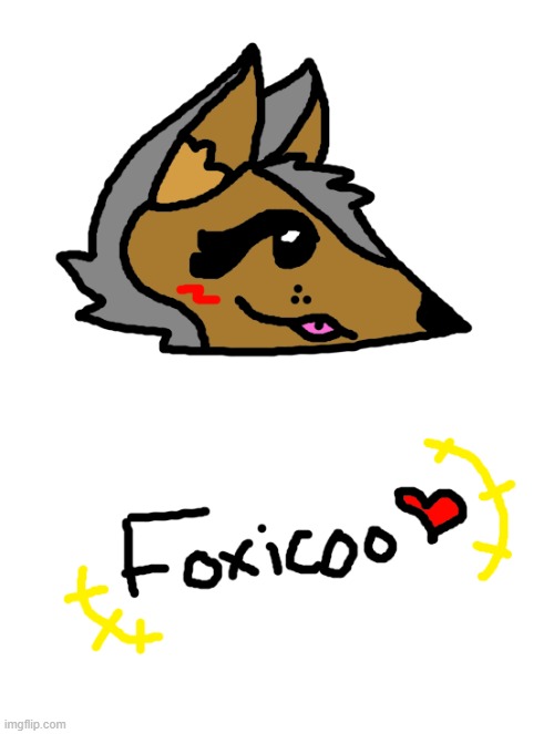 Alt sona foxicoo! Raccoon fox hybrid :3 (yes they're real ish wut they're called tho) | made w/ Imgflip meme maker