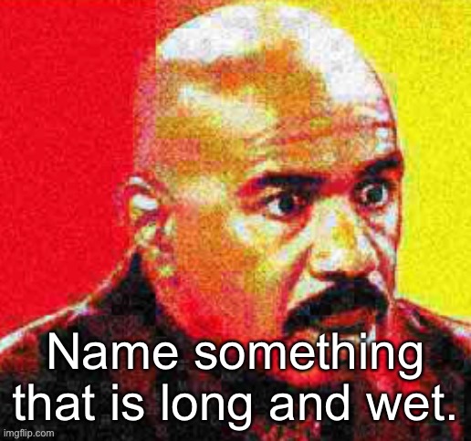 Steve Harvey Shocked | Name something that is long and wet. | image tagged in steve harvey shocked | made w/ Imgflip meme maker