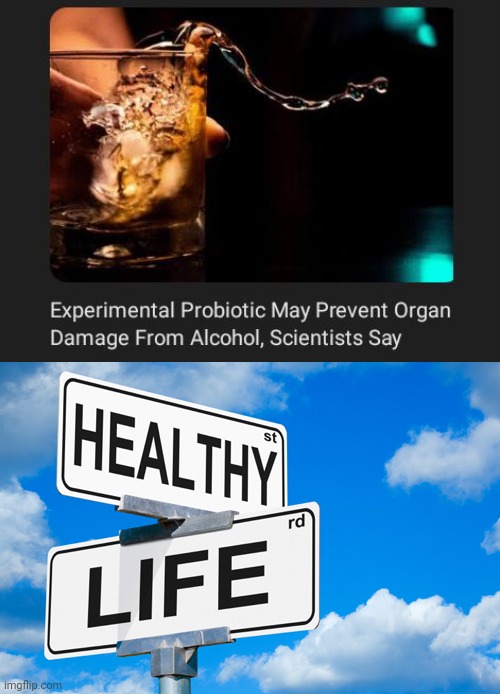 Experimental probiotic | image tagged in healthy life,science,memes,probiotic,organ,alcohol | made w/ Imgflip meme maker