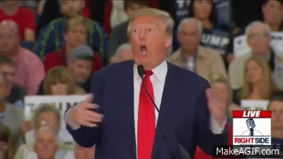 Dumb Ass Trump Blank Meme Template