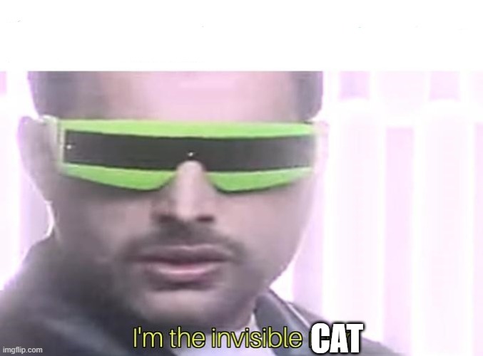 I'm the invisible man | CAT | image tagged in i'm the invisible man | made w/ Imgflip meme maker