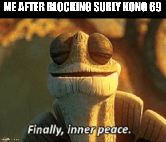 Finally, inner peace. | ME AFTER BLOCKING SURLY KONG 69 | image tagged in finally inner peace | made w/ Imgflip meme maker