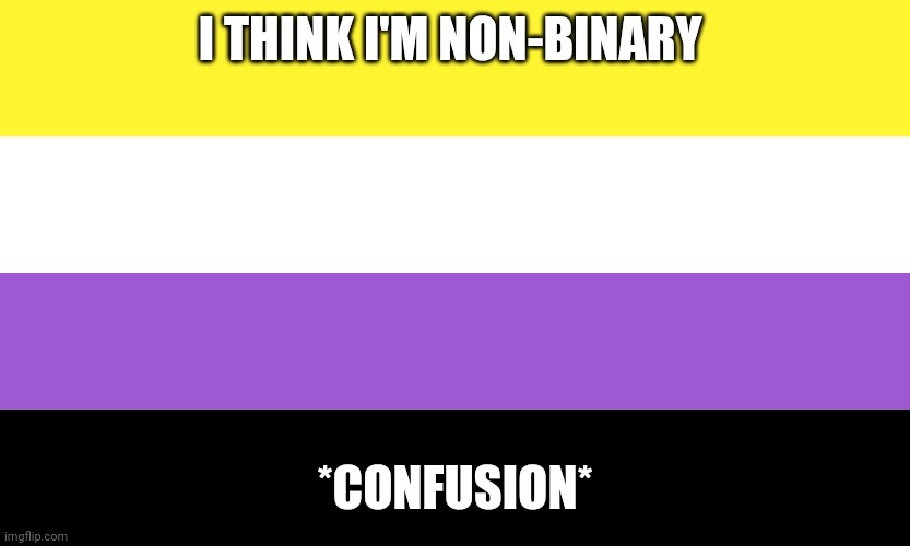 Nonbinary | I THINK I'M NON-BINARY; *CONFUSION* | image tagged in nonbinary | made w/ Imgflip meme maker