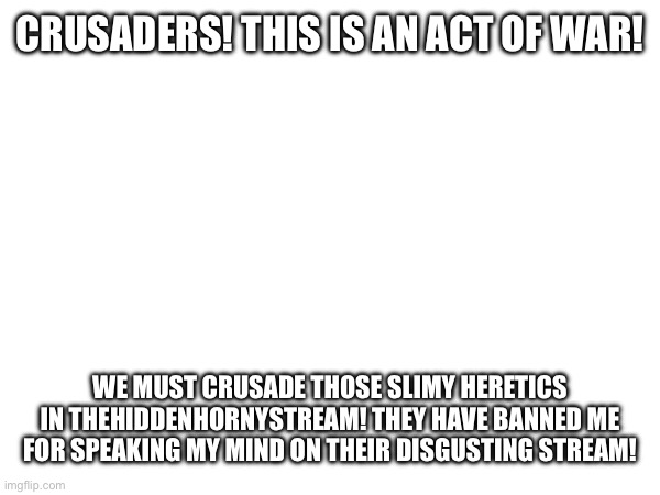 If you’re wondering why I was in that stream, I was looking for heresy | CRUSADERS! THIS IS AN ACT OF WAR! WE MUST CRUSADE THOSE SLIMY HERETICS IN THEHIDDENHORNYSTREAM! THEY HAVE BANNED ME FOR SPEAKING MY MIND ON THEIR DISGUSTING STREAM! | made w/ Imgflip meme maker