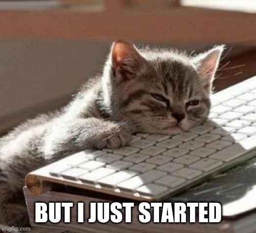 tired cat | BUT I JUST STARTED | image tagged in tired cat | made w/ Imgflip meme maker