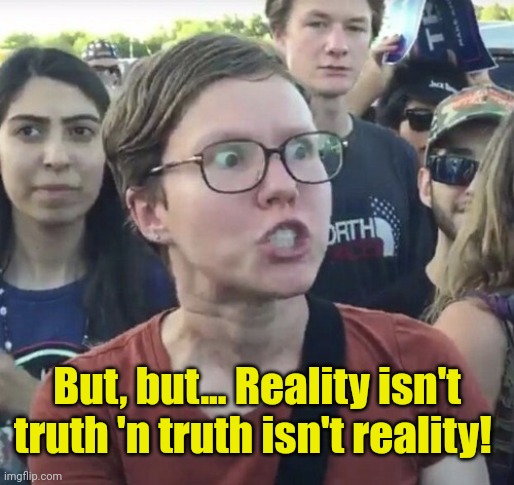 Triggered feminist | But, but... Reality isn't truth 'n truth isn't reality! | image tagged in triggered feminist | made w/ Imgflip meme maker