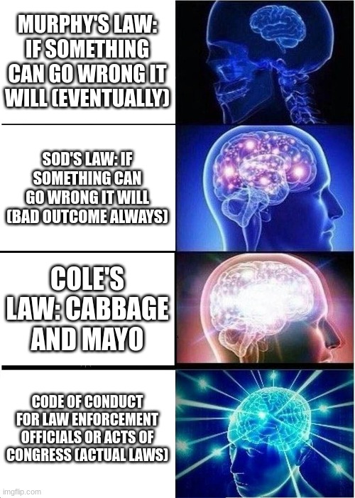 i had to look up what laws were actually called for the last one but for the first and second i looked up what they meant. | MURPHY'S LAW: IF SOMETHING CAN GO WRONG IT WILL (EVENTUALLY); SOD'S LAW: IF SOMETHING CAN GO WRONG IT WILL (BAD OUTCOME ALWAYS); COLE'S LAW: CABBAGE AND MAYO; CODE OF CONDUCT FOR LAW ENFORCEMENT OFFICIALS OR ACTS OF CONGRESS (ACTUAL LAWS) | image tagged in memes,expanding brain | made w/ Imgflip meme maker