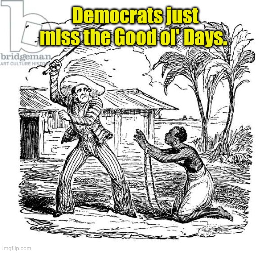 Slave Owner | Democrats just miss the Good ol' Days. | image tagged in slave owner | made w/ Imgflip meme maker