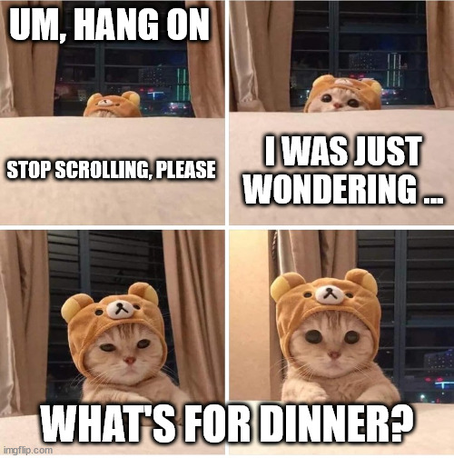 What's for dinner cuteness | UM, HANG ON; I WAS JUST WONDERING ... STOP SCROLLING, PLEASE; WHAT'S FOR DINNER? | image tagged in cute bear cat | made w/ Imgflip meme maker