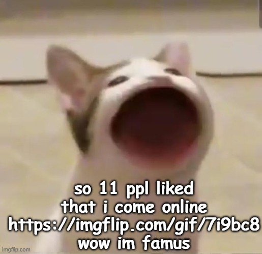 Pop Cat | so 11 ppl liked that i come online https://imgflip.com/gif/7i9bc8 wow im famus | image tagged in pop cat | made w/ Imgflip meme maker