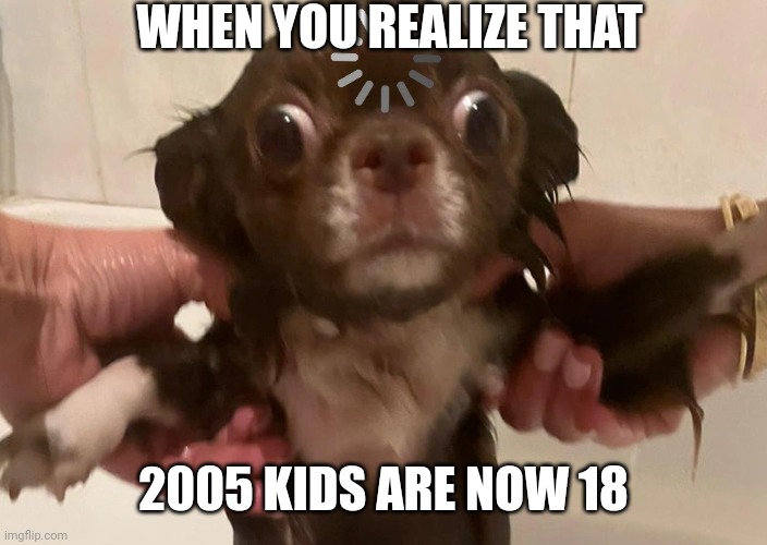 Confused Tutti | WHEN YOU REALIZE THAT; 2005 KIDS ARE NOW 18 | image tagged in confused tutti | made w/ Imgflip meme maker