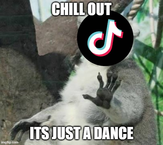 i don't like tiktok, but lets make this fair and square | CHILL OUT; ITS JUST A DANCE | image tagged in no thanks lemur,tiktok | made w/ Imgflip meme maker