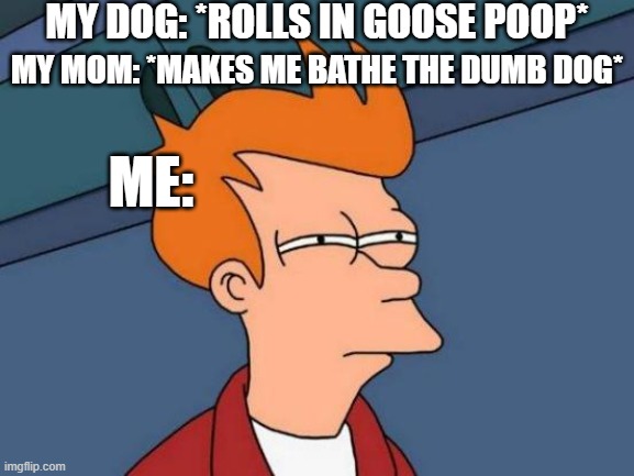 based on a true story | MY DOG: *ROLLS IN GOOSE POOP*; MY MOM: *MAKES ME BATHE THE DUMB DOG*; ME: | image tagged in memes,futurama fry,dog | made w/ Imgflip meme maker