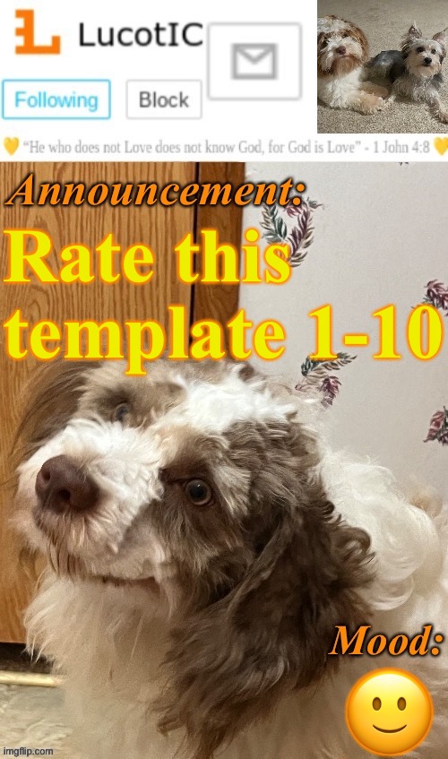 . | Rate this template 1-10; 🙂 | image tagged in lucotic s fangz announcement temp thanks strike | made w/ Imgflip meme maker