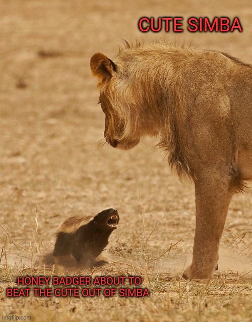  Honey badger dying  | CUTE SIMBA HONEY BADGER ABOUT TO BEAT THE CUTE OUT OF SIMBA | image tagged in honey badger dying | made w/ Imgflip meme maker