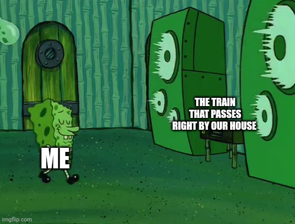 When the train passes by my house | THE TRAIN THAT PASSES RIGHT BY OUR HOUSE; ME | image tagged in spongebob jellyfish jam | made w/ Imgflip meme maker