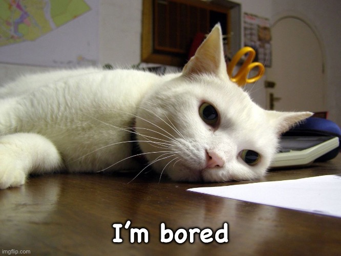Annoyed tired bored cat  | I’m bored | image tagged in annoyed tired bored cat | made w/ Imgflip meme maker