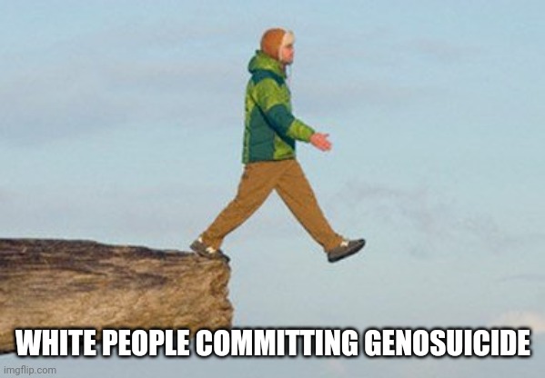 Walking off cliff | WHITE PEOPLE COMMITTING GENOSUICIDE | image tagged in walking off cliff | made w/ Imgflip meme maker