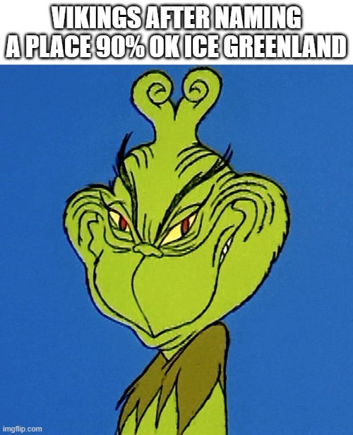 :p | VIKINGS AFTER NAMING A PLACE 90% OK ICE GREENLAND | image tagged in grinch smile | made w/ Imgflip meme maker