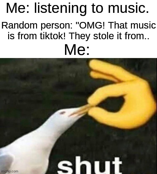 Did anyone make this before me? | Me: listening to music. Random person: "OMG! That music is from tiktok! They stole it from.. Me: | image tagged in shut,tiktok sucks | made w/ Imgflip meme maker