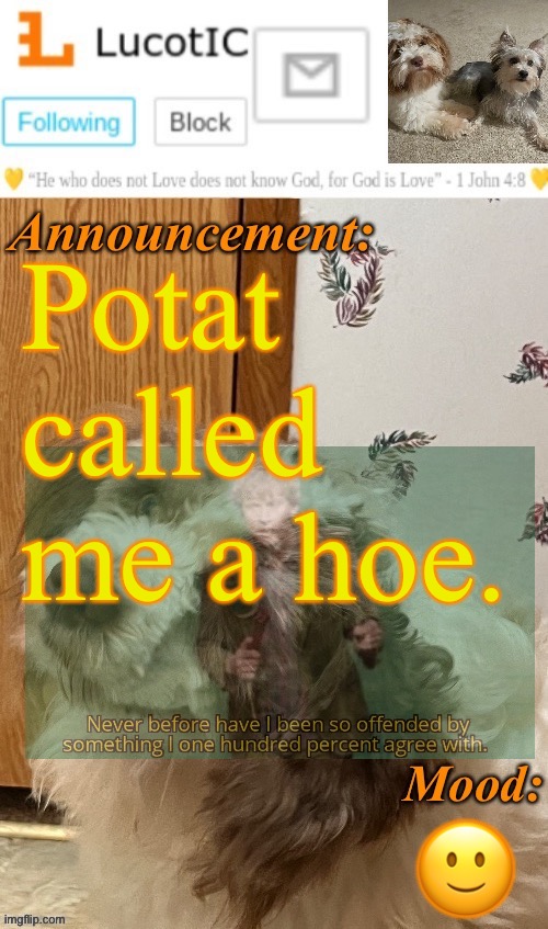 . | Potat called me a hoe. 🙂 | image tagged in lucotic s fangz announcement temp thanks strike | made w/ Imgflip meme maker