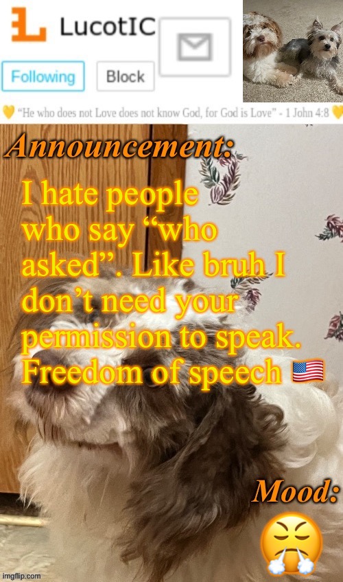 . | I hate people who say “who asked”. Like bruh I don’t need your permission to speak. Freedom of speech 🇺🇸; 😤 | image tagged in lucotic s fangz announcement temp thanks strike | made w/ Imgflip meme maker