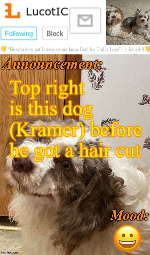 And his wife, Nova | Top right is this dog (Kramer) before he got a hair cut; 😀 | image tagged in lucotic s fangz announcement temp thanks strike | made w/ Imgflip meme maker