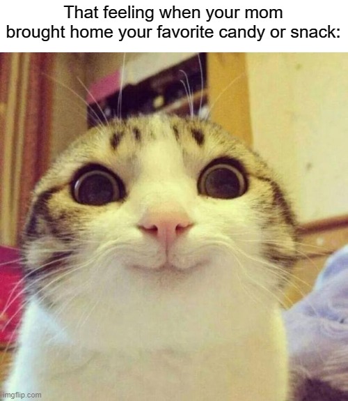 Still happy today! | That feeling when your mom brought home your favorite candy or snack: | image tagged in memes,smiling cat,funny,childhood,relatable memes,so true memes | made w/ Imgflip meme maker