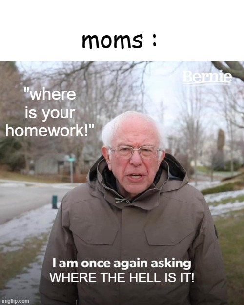 Bernie I Am Once Again Asking For Your Support | moms :; "where is your homework!"; WHERE THE HELL IS IT! | image tagged in memes,bernie i am once again asking for your support | made w/ Imgflip meme maker