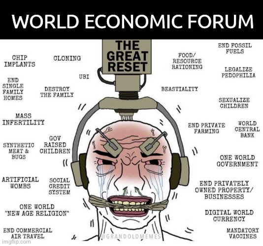 WEF torment | WORLD ECONOMIC FORUM | image tagged in black box | made w/ Imgflip meme maker