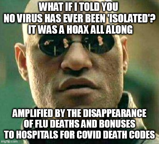 Fact checker mind blower. | WHAT IF I TOLD YOU 
NO VIRUS HAS EVER BEEN 'ISOLATED'?
 IT WAS A HOAX ALL ALONG; AMPLIFIED BY THE DISAPPEARANCE OF FLU DEATHS AND BONUSES TO HOSPITALS FOR COVID DEATH CODES | image tagged in what if i told you,covid | made w/ Imgflip meme maker