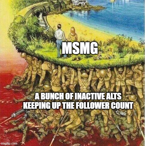 Soldiers hold up society | MSMG; A BUNCH OF INACTIVE ALTS KEEPING UP THE FOLLOWER COUNT | image tagged in soldiers hold up society | made w/ Imgflip meme maker