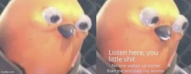 Listen here you little shit bird | No one wakes up earlier than me and eats my worms | image tagged in listen here you little shit bird | made w/ Imgflip meme maker