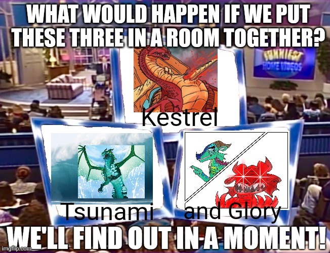 Probably 1 being dead, you know which one if you read the books | WHAT WOULD HAPPEN IF WE PUT THESE THREE IN A ROOM TOGETHER? Kestrel; Tsunami; and Glory | image tagged in we'll find out in a moment,wings of fire | made w/ Imgflip meme maker