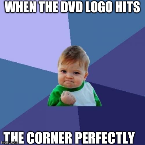 Success Kid | WHEN THE DVD LOGO HITS; THE CORNER PERFECTLY | image tagged in memes,success kid | made w/ Imgflip meme maker