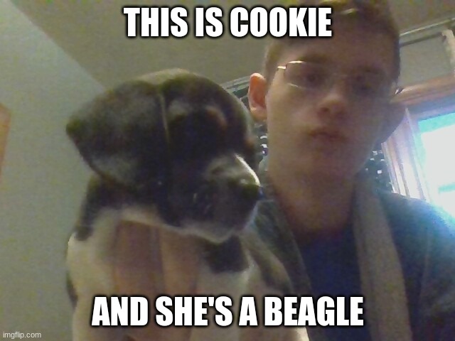 THIS IS COOKIE; AND SHE'S A BEAGLE | made w/ Imgflip meme maker
