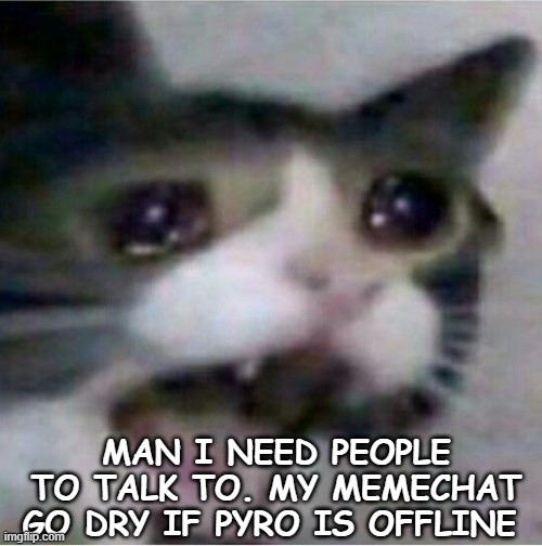 crying cat | MAN I NEED PEOPLE TO TALK TO. MY MEMECHAT GO DRY IF PYRO IS OFFLINE | image tagged in crying cat | made w/ Imgflip meme maker