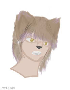 Just a quick drawing of my oc :) | made w/ Imgflip meme maker