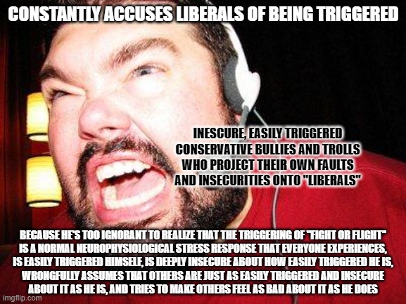 Misery loves company. Bullies/trolls try to make other people as miserable as they are. It's their sad way of seeking sympathy. | CONSTANTLY ACCUSES LIBERALS OF BEING TRIGGERED; INESCURE, EASILY TRIGGERED
CONSERVATIVE BULLIES AND TROLLS
WHO PROJECT THEIR OWN FAULTS
AND INSECURITIES ONTO "LIBERALS"; BECAUSE HE'S TOO IGNORANT TO REALIZE THAT THE TRIGGERING OF "FIGHT OR FLIGHT"
IS A NORMAL NEUROPHYSIOLOGICAL STRESS RESPONSE THAT EVERYONE EXPERIENCES,
IS EASILY TRIGGERED HIMSELF, IS DEEPLY INSECURE ABOUT HOW EASILY TRIGGERED HE IS,
WRONGFULLY ASSUMES THAT OTHERS ARE JUST AS EASILY TRIGGERED AND INSECURE
ABOUT IT AS HE IS, AND TRIES TO MAKE OTHERS FEEL AS BAD ABOUT IT AS HE DOES | image tagged in nerd rage,triggered,conservative logic,pointing mirror guy,hurt feelings,internet trolls | made w/ Imgflip meme maker