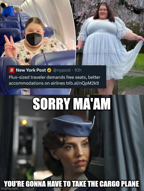 She's only the size of a Honda civic. | SORRY MA'AM; YOU'RE GONNA HAVE TO TAKE THE CARGO PLANE | image tagged in flight attendant | made w/ Imgflip meme maker