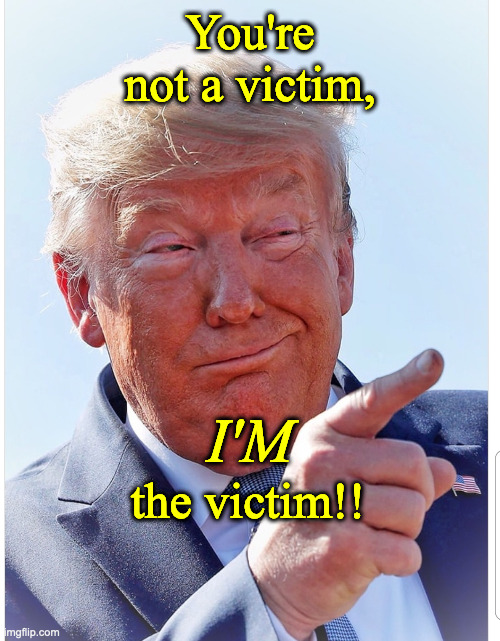 Trump pointing | You're not a victim, I'M; the victim!! | image tagged in trump pointing | made w/ Imgflip meme maker