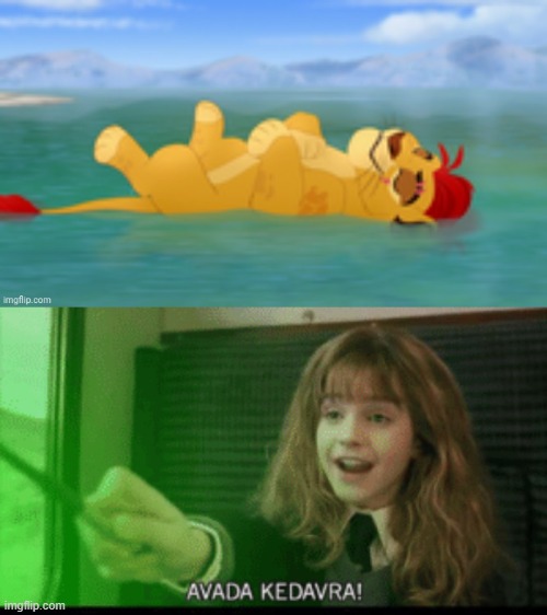 Kion can't relax | image tagged in useless waste,avada kedevra hermione | made w/ Imgflip meme maker